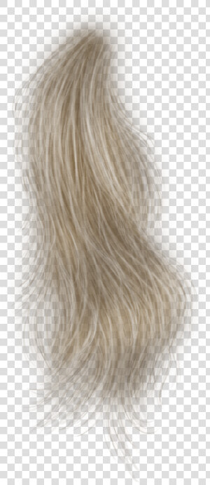 Pelo Png Para Photoshop  Transparent Png