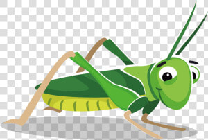 Grasshopper At Getdrawings Com Free For Personal   Grasshopper Clipart Png  Transparent Png