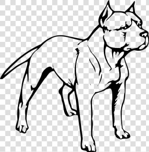 American Pit Bull Terrier Puppy American Bully   Easy Pitbull Dog Drawing  HD Png Download