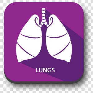 Signs Of Blood Clot In Lungs  HD Png Download