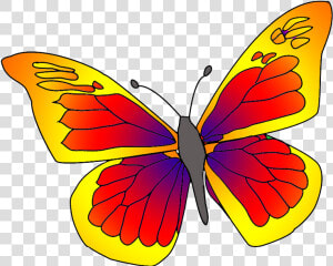 Red Orange Butterfly Clipart   Orange And Red Butterfly  HD Png Download