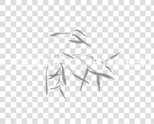 Fforest Intro 02   Sketch  HD Png Download