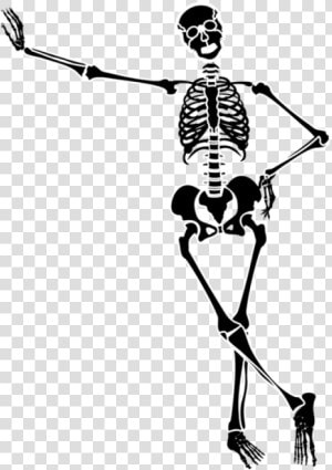 28 Collection Of Halloween Dancing Skeleton Clipart   Skeleton Clipart Png  Transparent Png