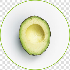 Transparent Avocados Png   Avocado  Png Download