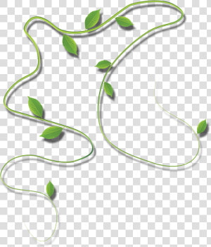 Clipart Leaves Cartoon Vine   Portable Network Graphics  HD Png Download