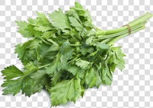 Celery Leaves  HD Png Download