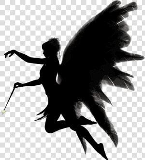 Silhouette monochrome Photography supernatural Creature   Dark Angel Png  Transparent Png