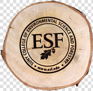 Wood Discs   State University Of New York College Of Environmental  HD Png Download