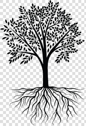 Clip Art Root Vector Graphics Tree Wall Decal   Tree With Roots Clipart Png  Transparent Png