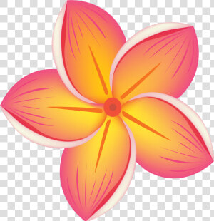 Tropical Flower Png Clipart   Clipart Hawaiian Flowers  Transparent Png