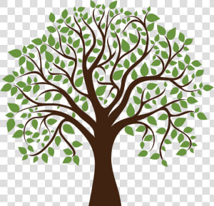 Family Tree Clipart Transparent Background   Transparent   Oak Tree With Acorns Clipart  HD Png Download