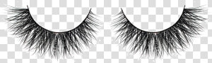 Cruelty free Eyelash Extensions Beauty Hair   Transparent Background Eyelash Transparent  HD Png Download