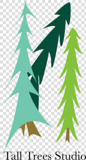 Tall Trees Studio   Christmas Tree  HD Png Download