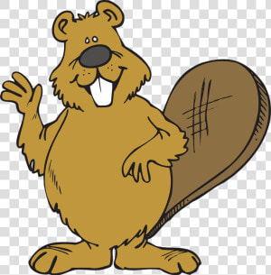 Download And Use Beaver Png Image   Clipart Beaver  Transparent Png