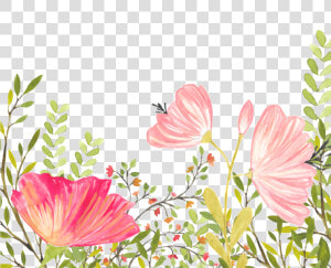 Floral Background Free Png   Free Download Floral Background  Transparent Png