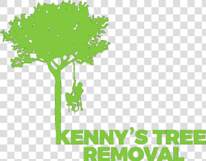 Kenny S Tree Removal  Llc   Tree  HD Png Download