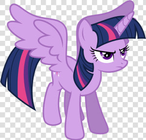 Transparent Twilight Sparkle Alicorn Png   My Little Pony Rainbow Dash Alicorn  Png Download