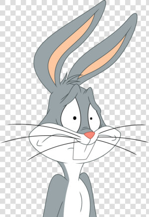 Drawing Bunnies Sad   Scared Cartoon Bugs Bunny  HD Png Download