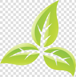 Transparent Tobacco Leaf Png   Tobacco Plant Tobacco Symbol  Png Download