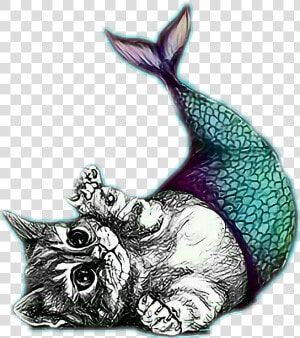 Transparent Catfish Clipart   Mermaid Cat Drawing  HD Png Download