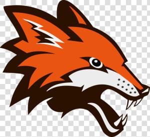 Foxes Logo Png  Transparent Png