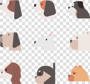 Dog Breeds   Basset Hound  HD Png Download