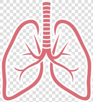 Gifs Y Fondos Paz   Lungs Clipart  HD Png Download