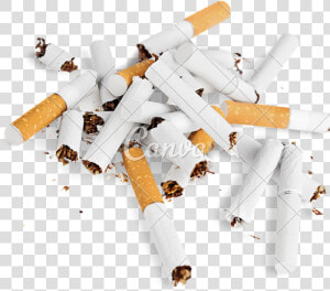 Cigarette Butt Png   Cigarette Butt Png Transparent  Png Download