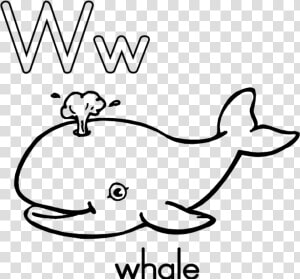 Whale Shark Clipart Paus   Black And White Whale Clipart  HD Png Download