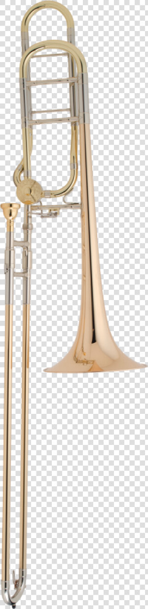 Cg Conn Professional Model 88hcl Tenor Trombone   Types Of Trombone  HD Png Download