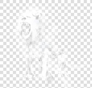  ftestickers  fantasyart  lion  smoke  transparent   Smoke Lion Png Effects  Png Download