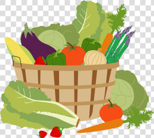 Garden Vector Vegetable   Vegetable Garden Png Clipart  Transparent Png