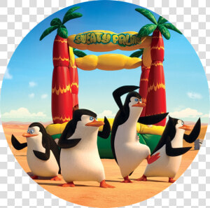 Penguin At The Beach   Madagascar Penguins  HD Png Download