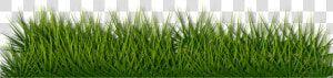 Background Border Grass Green Herb Landscape   Green Floor Png Grass  Transparent Png