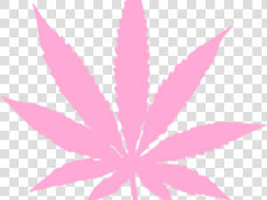 Weeds Drawing Hemp Leaf   Red Marijuana Leaf Png  Transparent Png