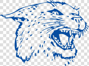 Wildcat Clipart Rogersville   Colton Wildcats  HD Png Download