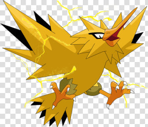 Pokemon Zapdos Png  Transparent Png