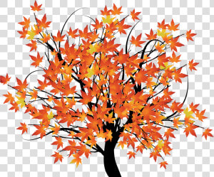 An Autumn Background Scene With Trees   Fall Tree Transparent Background  HD Png Download