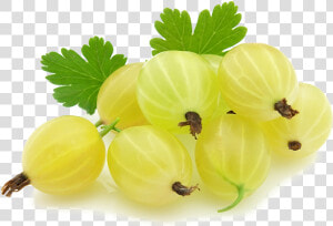 Gooseberry  HD Png Download