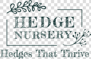 Hedge Nursery   Calligraphy  HD Png Download