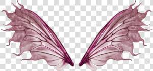 Tatuagem De Asa   Butterfly Fairy Wings Transparent  HD Png Download