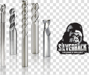 Silverback Lineup And Logo  HD Png Download