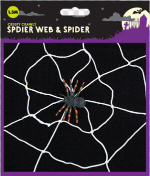 Halloween Spider Web  amp  Spider   Spider Web  HD Png Download