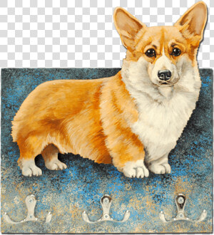 Pembroke Welsh Corgi Cardigan Welsh Corgi Icelandic  HD Png Download