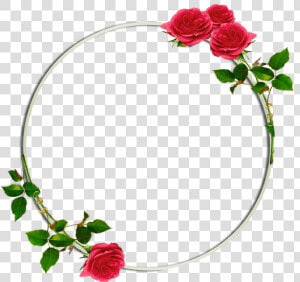  circle  background  floral  flowers  roses  rose  redrose  HD Png Download