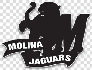 Molina Jaguars Football Data Srcset Https   Silhouette  HD Png Download