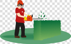 Hedges Clipart Hedge Trimming   Hedging Clipart  HD Png Download