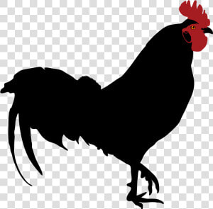 Rooster Silhouette   Rooster Silhouette Png  Transparent Png