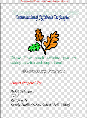 Determination Of Caffeine In Tea Samples  HD Png Download