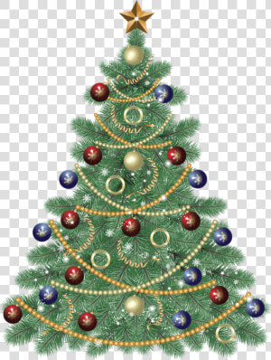 Christmas Tree Public Domain  HD Png Download